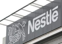 Thumbnail for Cameroon’s pineapple exports hold steady amid global market competition