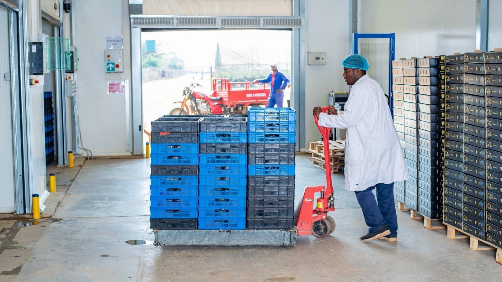 Thumbnail for Twiga Foods announces changes in top management as CEO proceeds on sabbatical leave