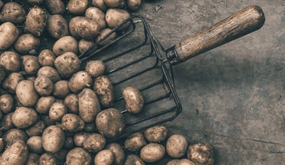 Thumbnail for Lidl Germany expands vegan offerings with new meat alternatives