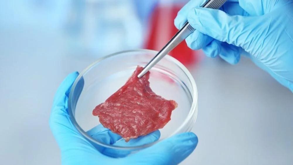 Thumbnail for Austria, France and Italy oppose cultivated meat production at EU agriculture ministers meeting