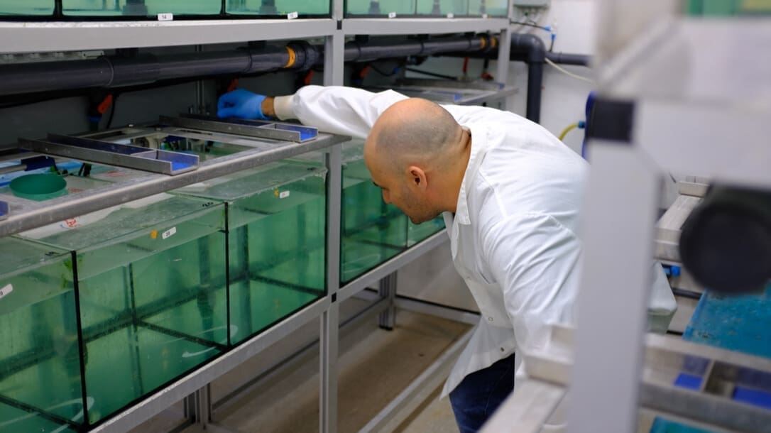 Thumbnail for Bonduelle, Unilever among companies facing fines in France for allegedly concealing BPA use in packaging