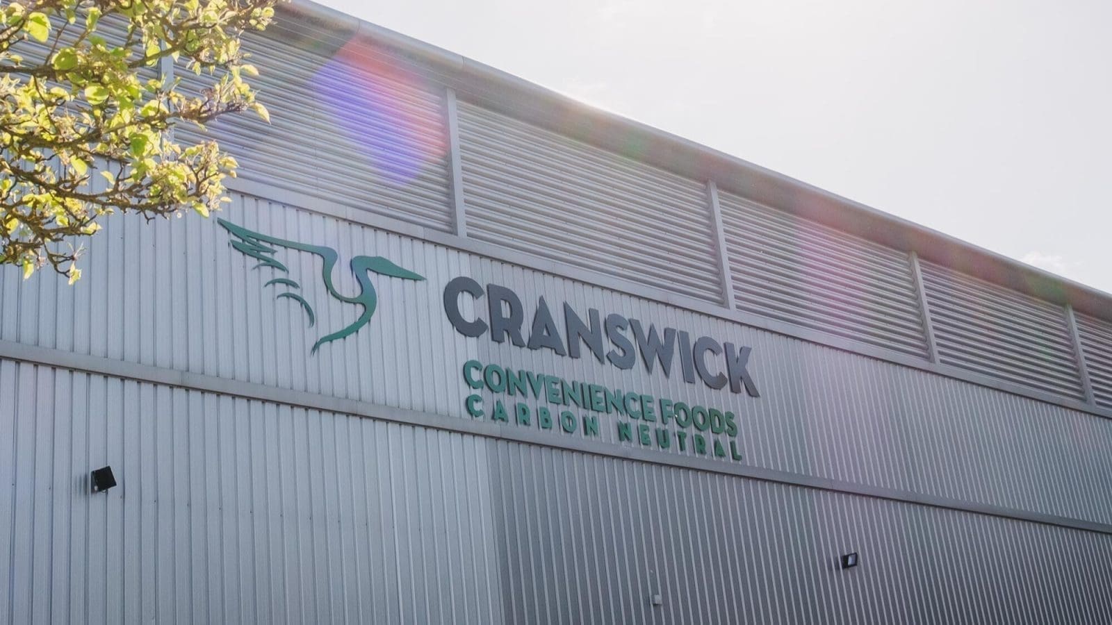 Thumbnail for Bloom Fresh names Fiachra Moloney as CMO