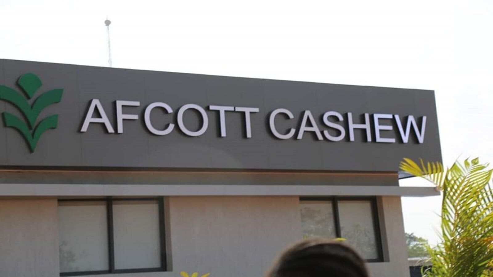 Thumbnail for Moroccan citrus gain access to Brazilian market