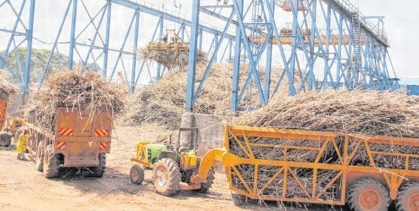 Thumbnail for Kenya Sugar Board warns private millers over factory leases 