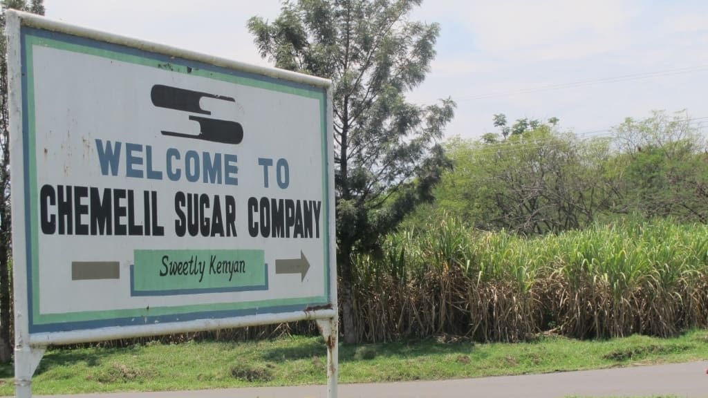 Thumbnail for Global food inflation concerns ease as UN Food Agency reports 10.1% annual drop in world price index