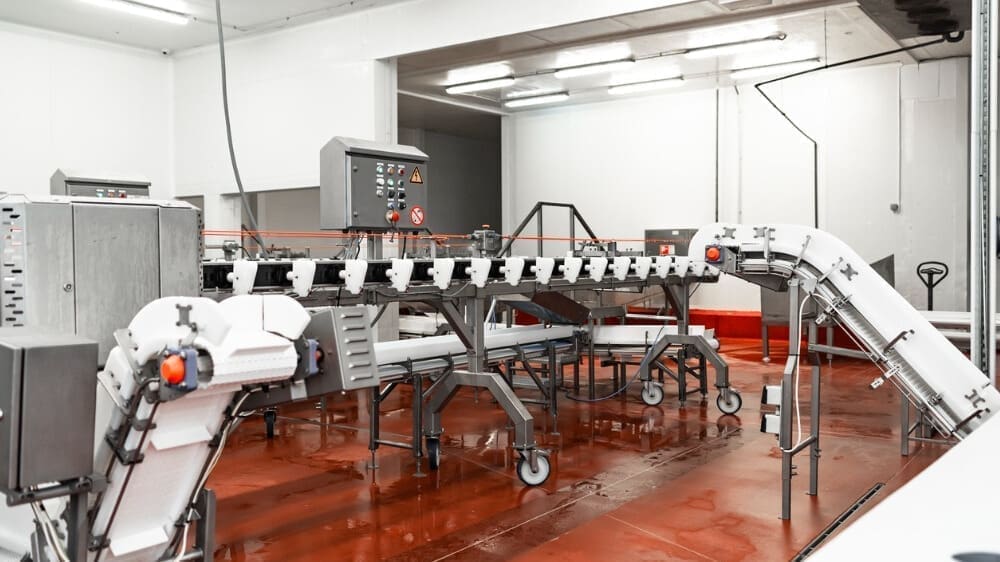 Thumbnail for Believer Meats strengthens leadership team for commercialization phase