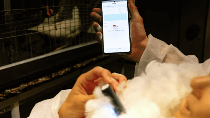 Thumbnail for Global Tuna Alliance expands reach with Meiho partnership in Japan