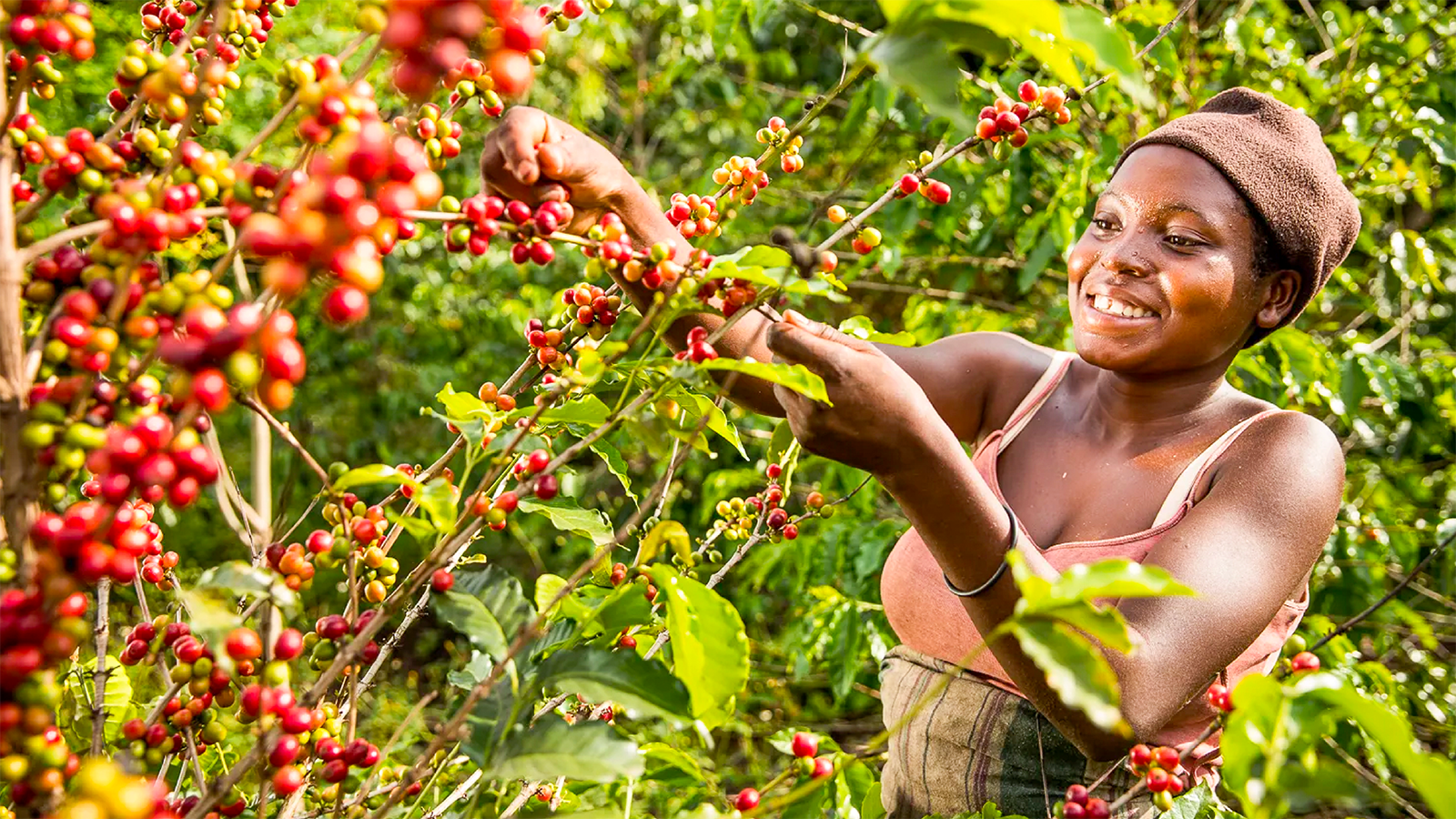 Thumbnail for Premiumization’s Pause: Beverage Alcohol’s Stalled Ascension in the Shadow of Inflation 