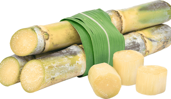 Thumbnail for Cameroon rises to become 4th largest global cocoa exporter