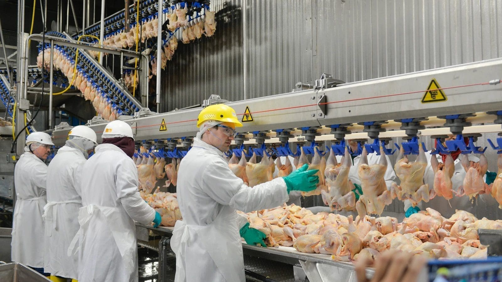 Thumbnail for P&G India Welcomes Kumar Venkatasubramanian as New CEO 