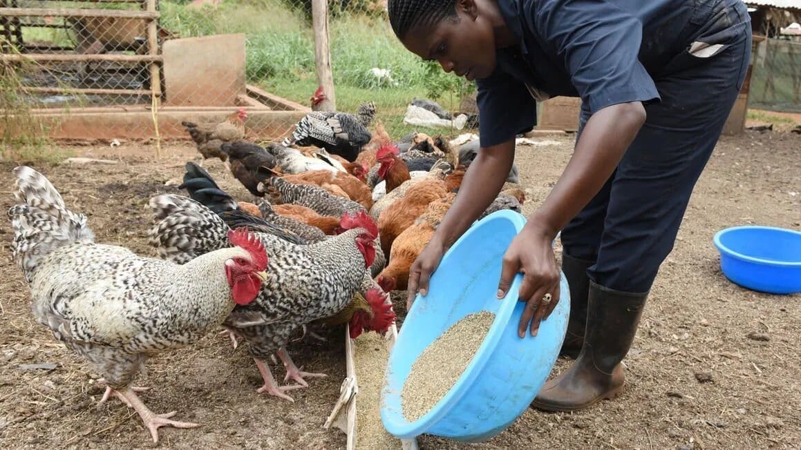 Thumbnail for Kenya Wines Agency invests KES10M in Youth Empowerment 