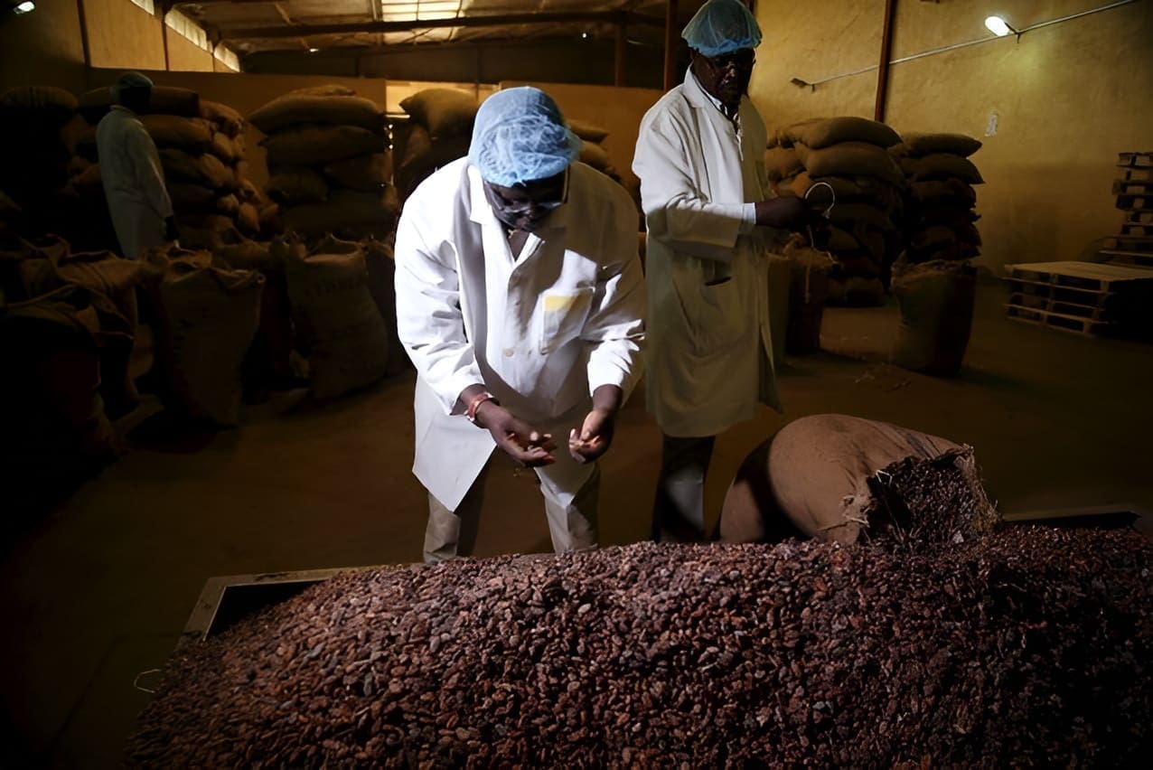 Thumbnail for Keurig Dr Pepper unveils ‘Compostable’ Coffee Pods and Innovation Roadmap 