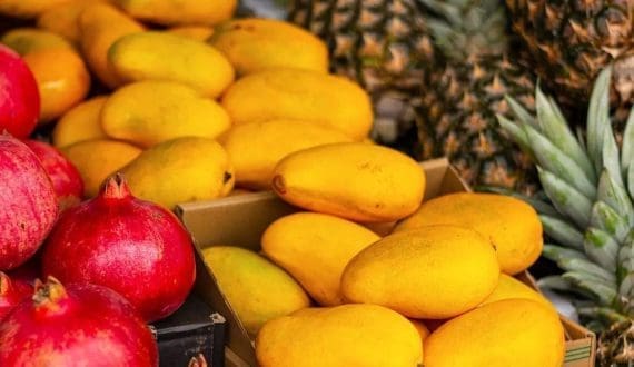 Thumbnail for Global post-harvest treatment market poised for USD 1.3B growth by 2028, Technavio