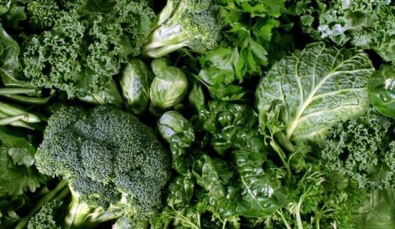 Thumbnail for Bloom Fresh names Fiachra Moloney as CMO