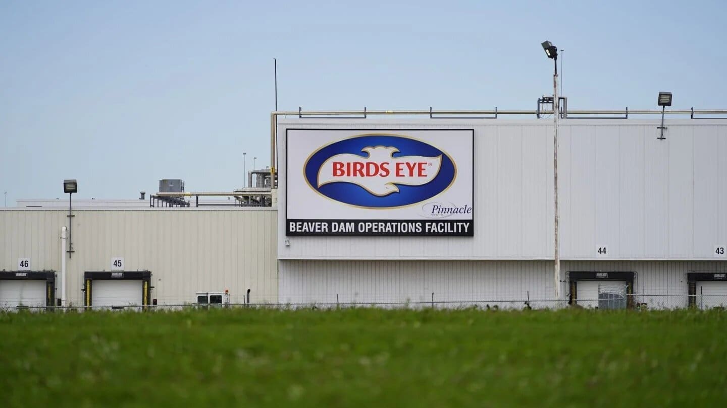 Thumbnail for Zalmhuys Group acquires minority stake in Dutch fish company Anova