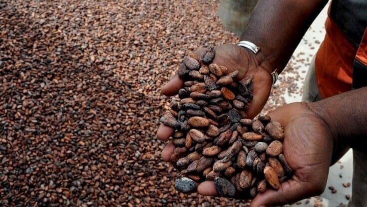 Thumbnail for FAO Extends Hand-in-Hand Initiative to Boost Zanzibar’s fisheries and livestock sectors