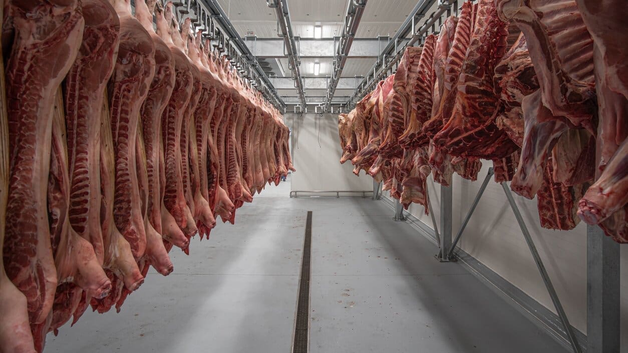 Thumbnail for Consumer Reports finds high sodium and lead levels in Kraft Heinz Lunchables