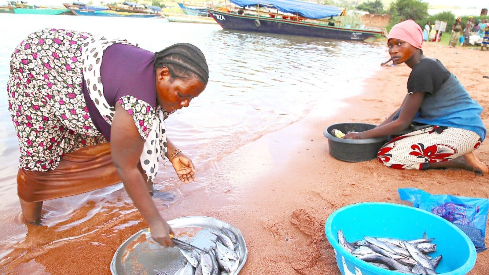 Thumbnail for Transnet seeks partners for liquid bulk terminal in Cape Town