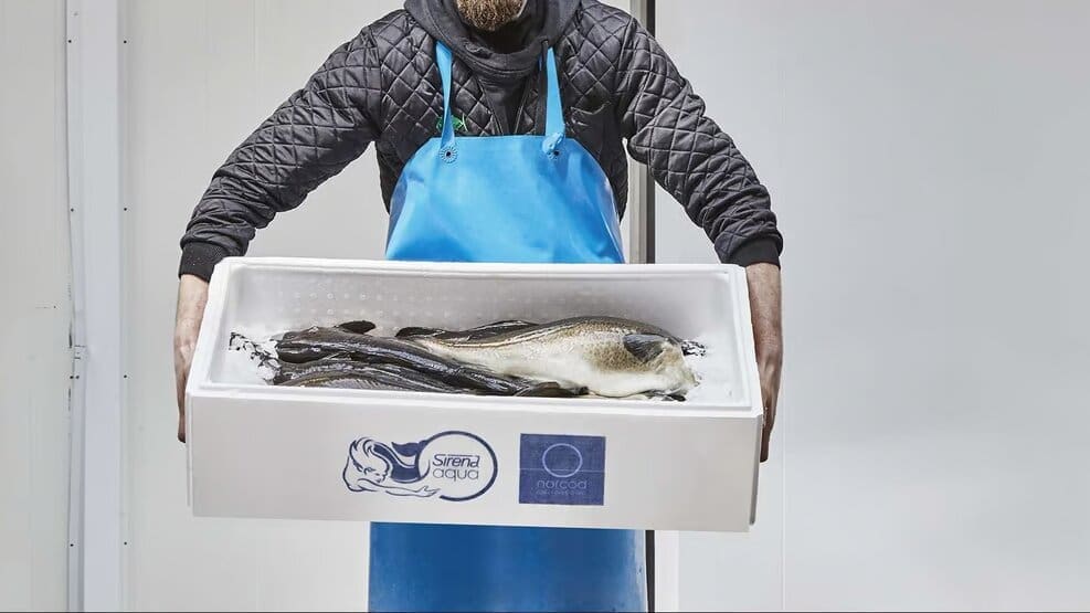 Thumbnail for ZIM reports strong Q1 performance with USD 1.56B revenue