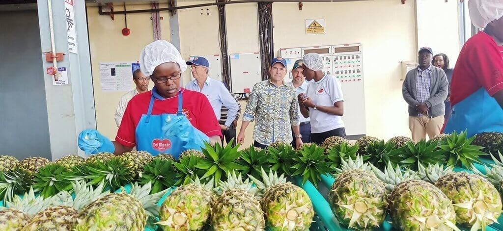 Thumbnail for Saudi Fisheries appoint Mahmoud Abdul-Hay Abu Aqeel as new acting CEO