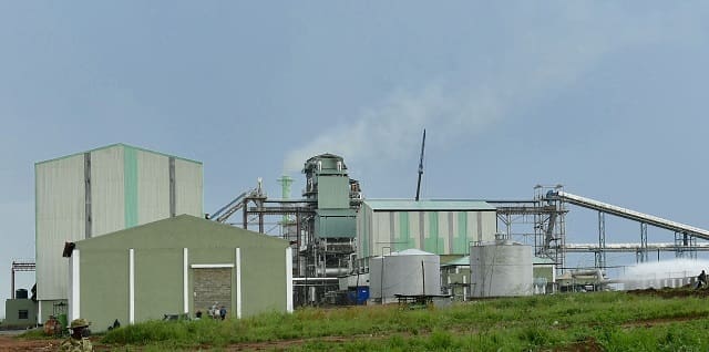 Thumbnail for Coca-Cola launches data-driven insights platform ‘Coca-Cola lens’ 