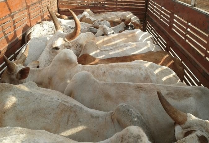 Thumbnail for Norway’s Andfjord Salmon Group AS secures US$33.6M investment for expansion