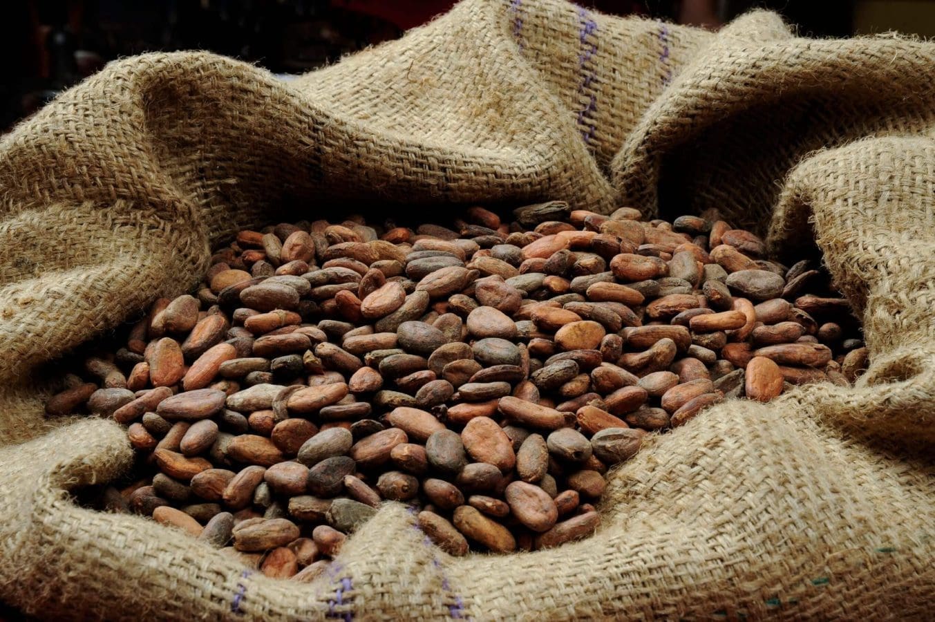 Thumbnail for Ivory Coast to buy 100,000 tonnes of surplus cocoa as falling prices trigger market intervention 