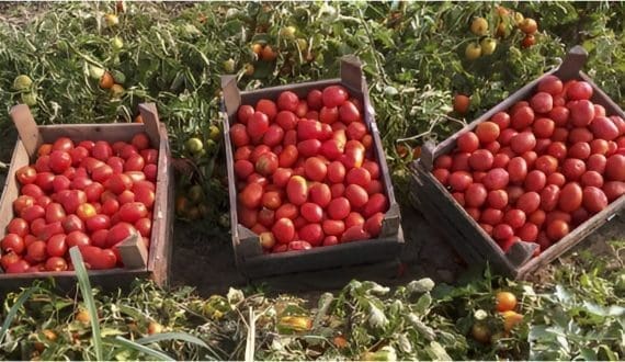 Thumbnail for Kenya Association of Manufacturers (KAM) voices concerns over proposed tax increase