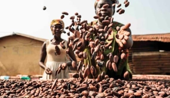 Thumbnail for Zanzibar, South Korea partner to boost fisheries with new port, infrastructure