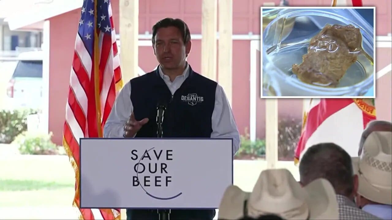 Thumbnail for Germany’s MyriaMeat unveils revolutionary cultivated pork fillet