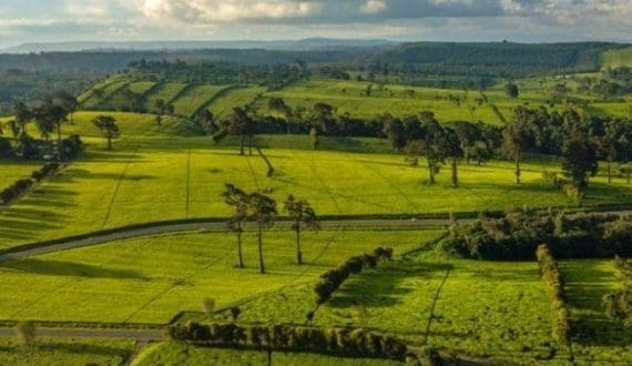 Thumbnail for Hindustan Coca-Cola Beverages reports 73% profit decline in FY25 