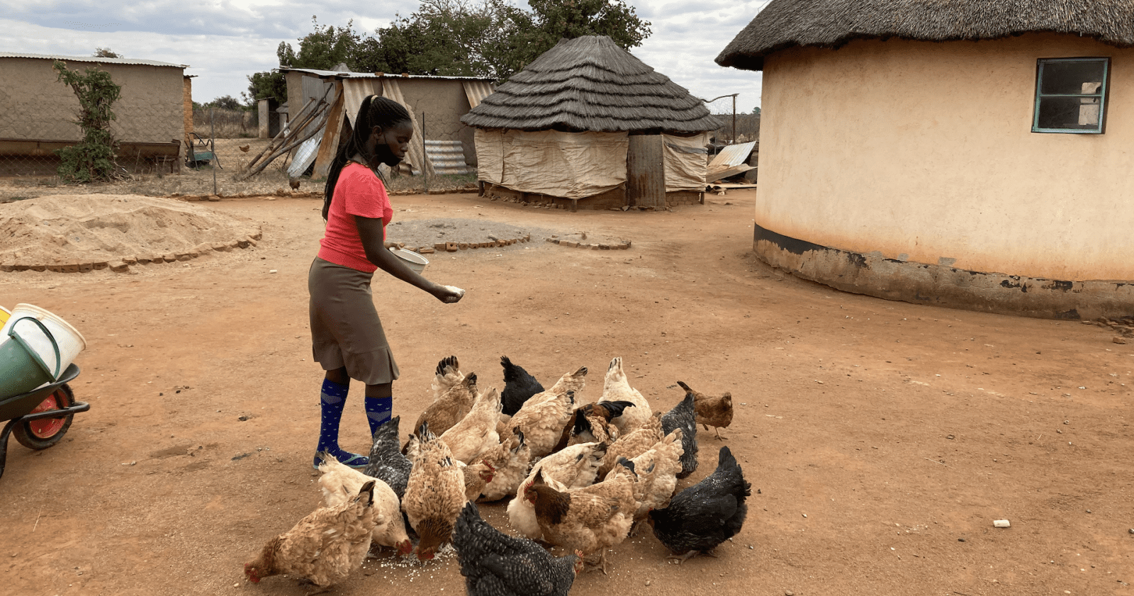 Thumbnail for French Tuna industry players unite to promote sustainable tuna fishing practices