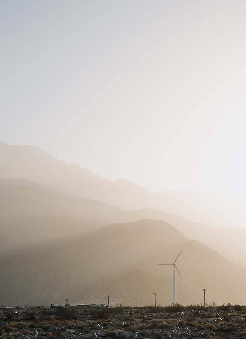 Thumbnail for Kenya’s potato sector grapples with quality seed supply challenges