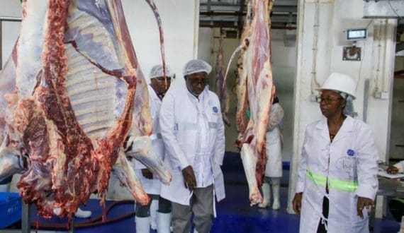 Thumbnail for Finland’s Enifer secures US$39M to expand mycoprotein production