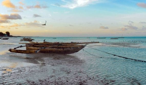 Thumbnail for Myanmar projects US$805M revenue from aquatic exports amid increased fish, shrimp exports