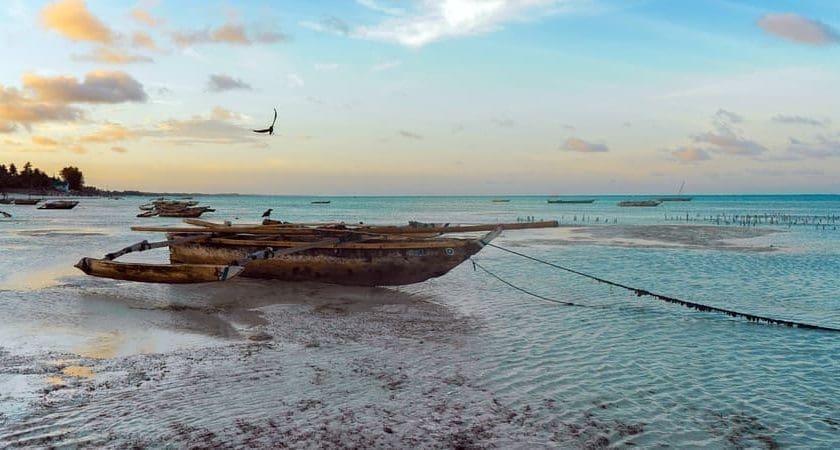 Thumbnail for Zanzibar government pushes reforms to boost blue economy and youth employment
