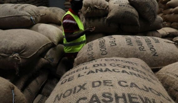 Thumbnail for Bloom Fresh officially appoints Josep Estiarte as CEO