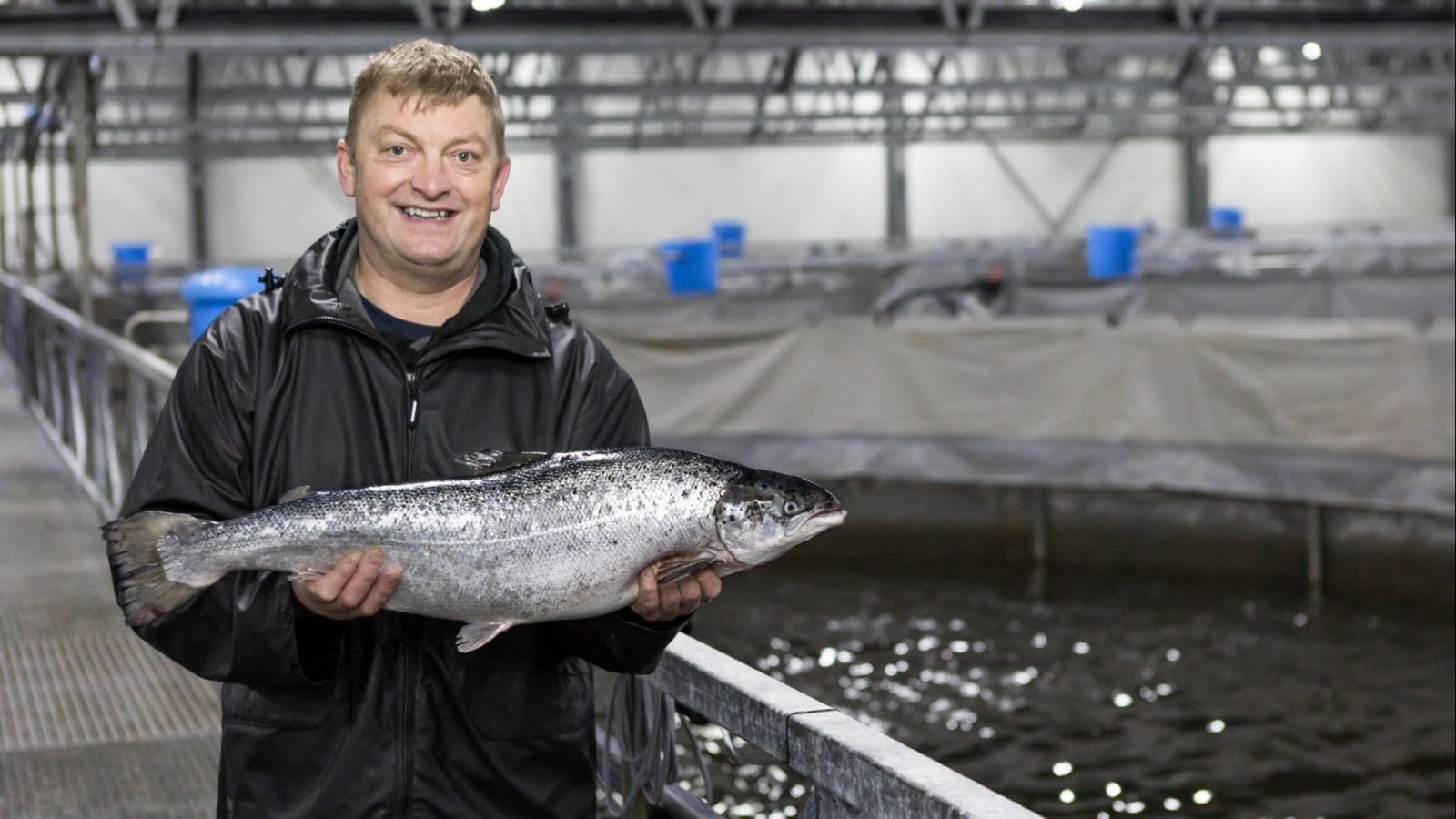 Thumbnail for RCL Foods set to spin off Rainbow Chicken as separate listed entity