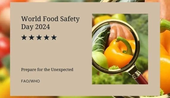 Thumbnail for SanLucar wins prestigious Environmental Impact Award in Tunisia