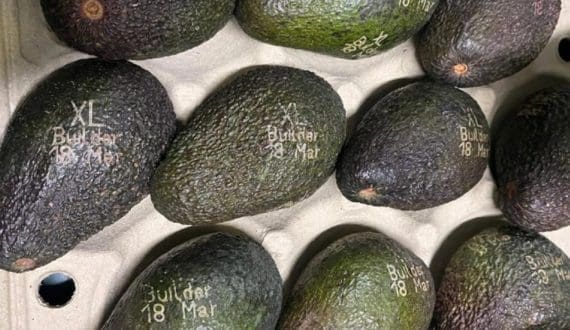 Thumbnail for Bayer Crop Science Kenya pioneers DSO model in Africa