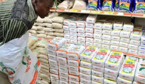 Thumbnail for Bob Snail set to launch in Africa, looking for distribution partners