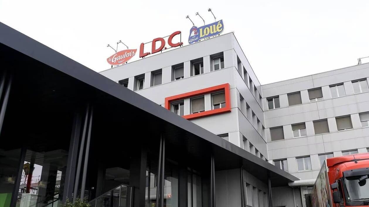 Thumbnail for Agrovision partners with RipeLocker to extend berry freshness