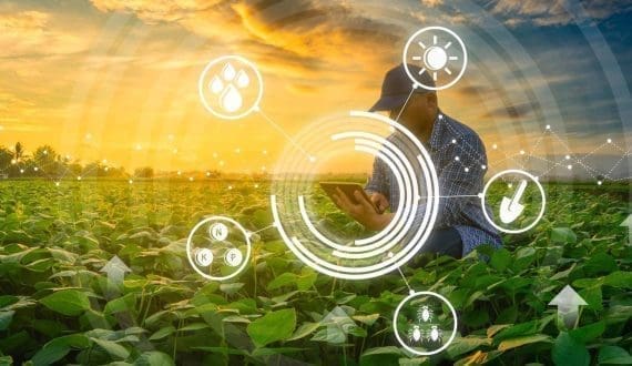 Thumbnail for Silal pioneers nanotechnology in UAE agriculture