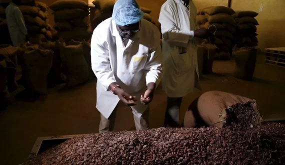 Thumbnail for Mount Kenya Breweries hit with US$21.37M tax demand 