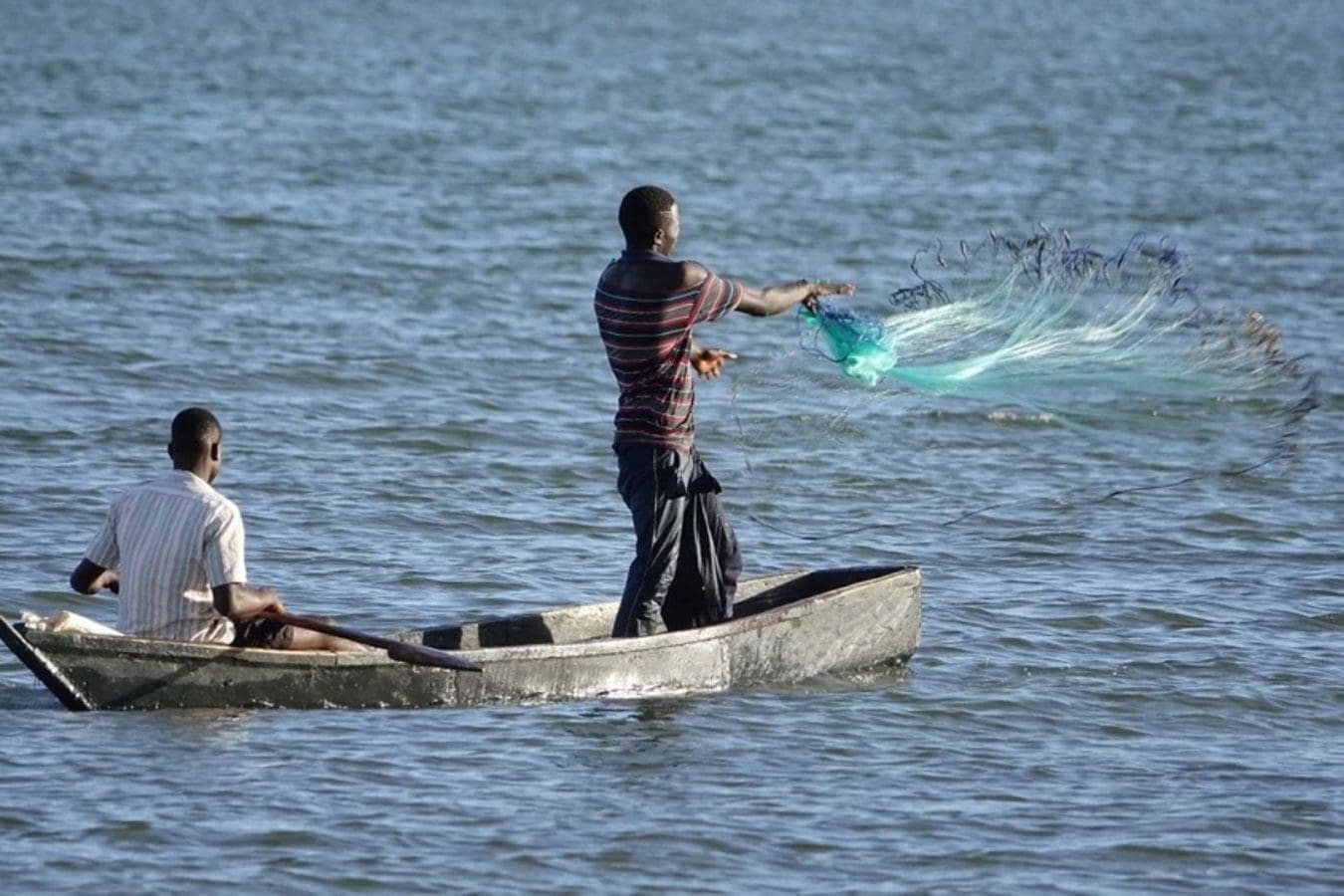 Thumbnail for Smithfield Foods to acquire Cargill’s Nashville sausage facility