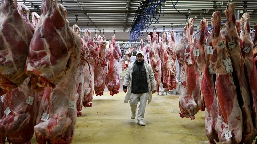 Thumbnail for Constellation Brands reports 5.8% revenue growth driven by strong beer sales 