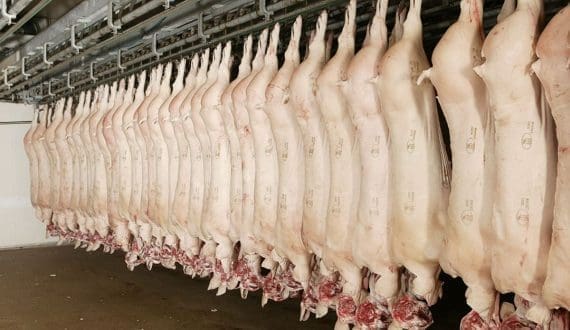 Thumbnail for Olam Food Ingredients collaborates with Lisco to innovate barbecue flavors in China