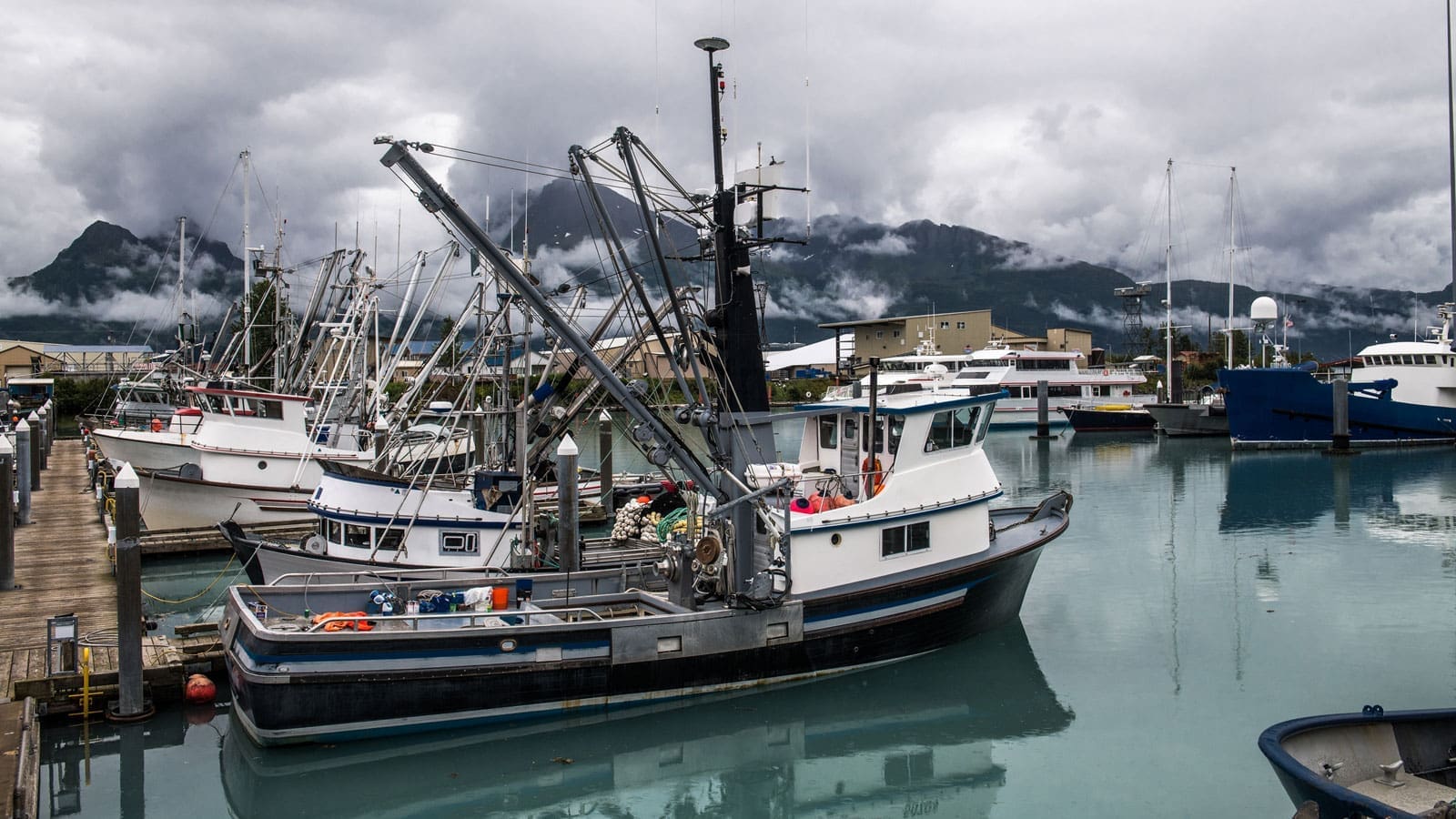 Thumbnail for Algeria to explore fisheries collaboration with New Zealand