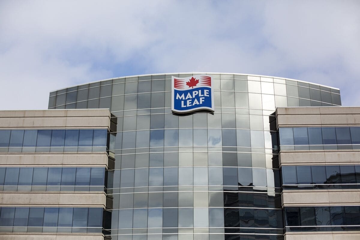 Thumbnail for Africa Development Bank to invest  US$33M in Mozambique’s poultry industry