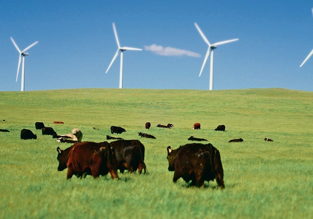 Thumbnail for Hatch Africa secures US$9.5M investment to support rural Africa’s poultry industry